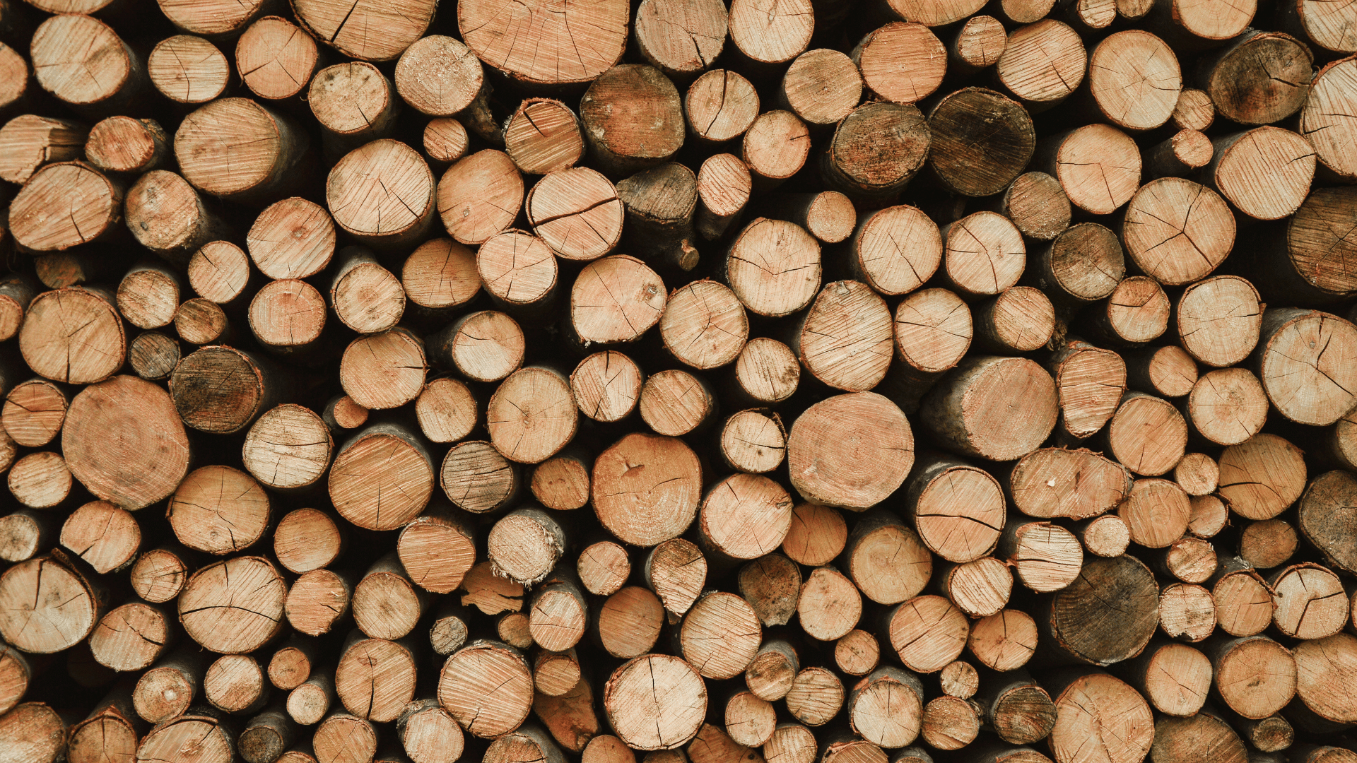 Logs Longtree Tree Service MI