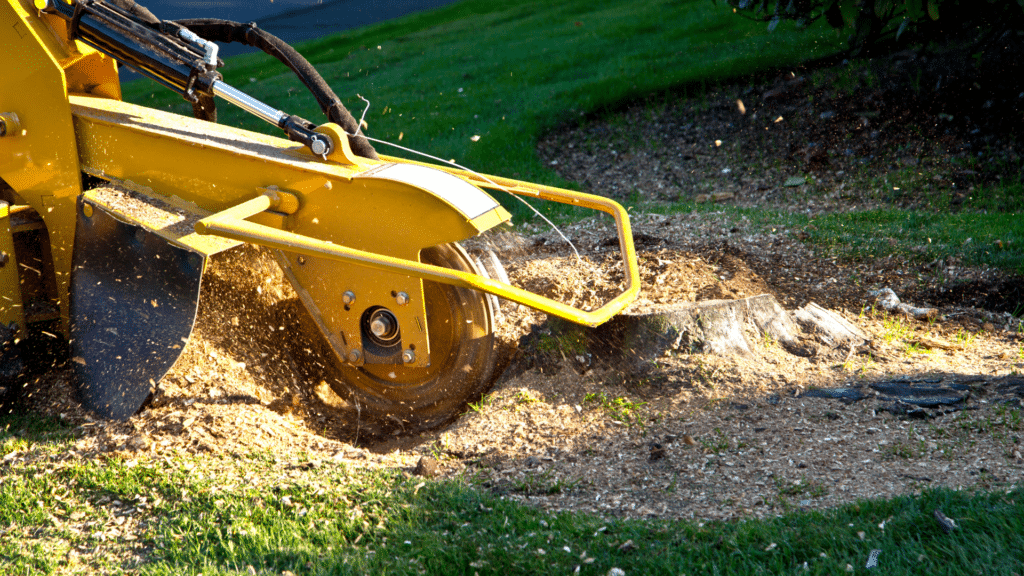 Stump Grinding Longtree Tree Service MI