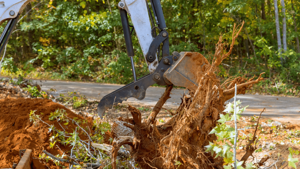 Tree Brush Removal Longtree Tree Service MI