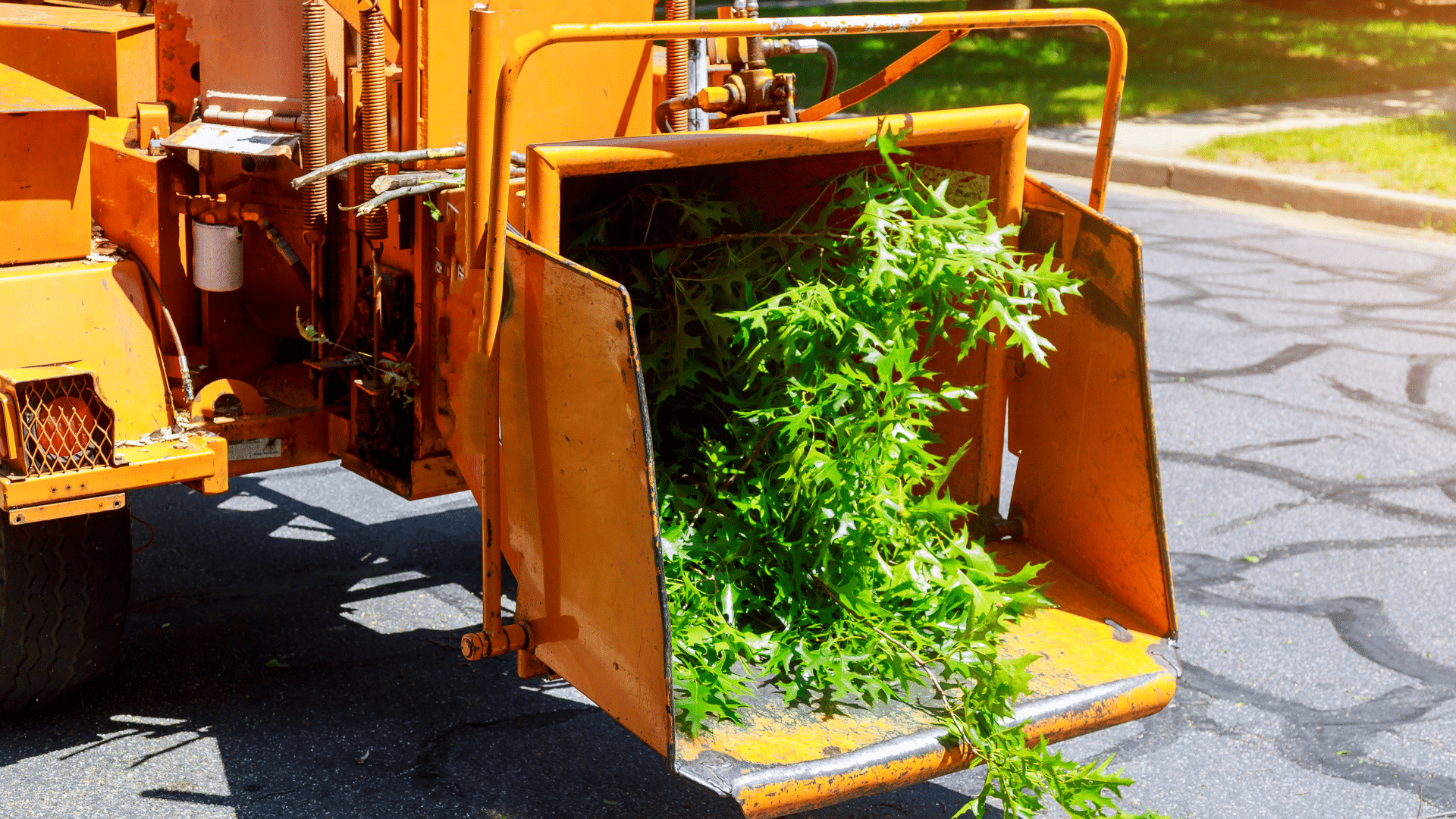 Tree Grind Wood Chipper Longtree Tree Service MI