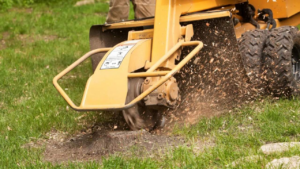 Tree Stump Grinding Removal Experts Longtree Tree Service MI