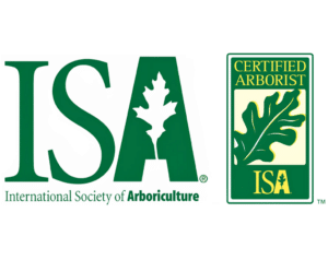 Certified Arborist Longtree Tree Service MI