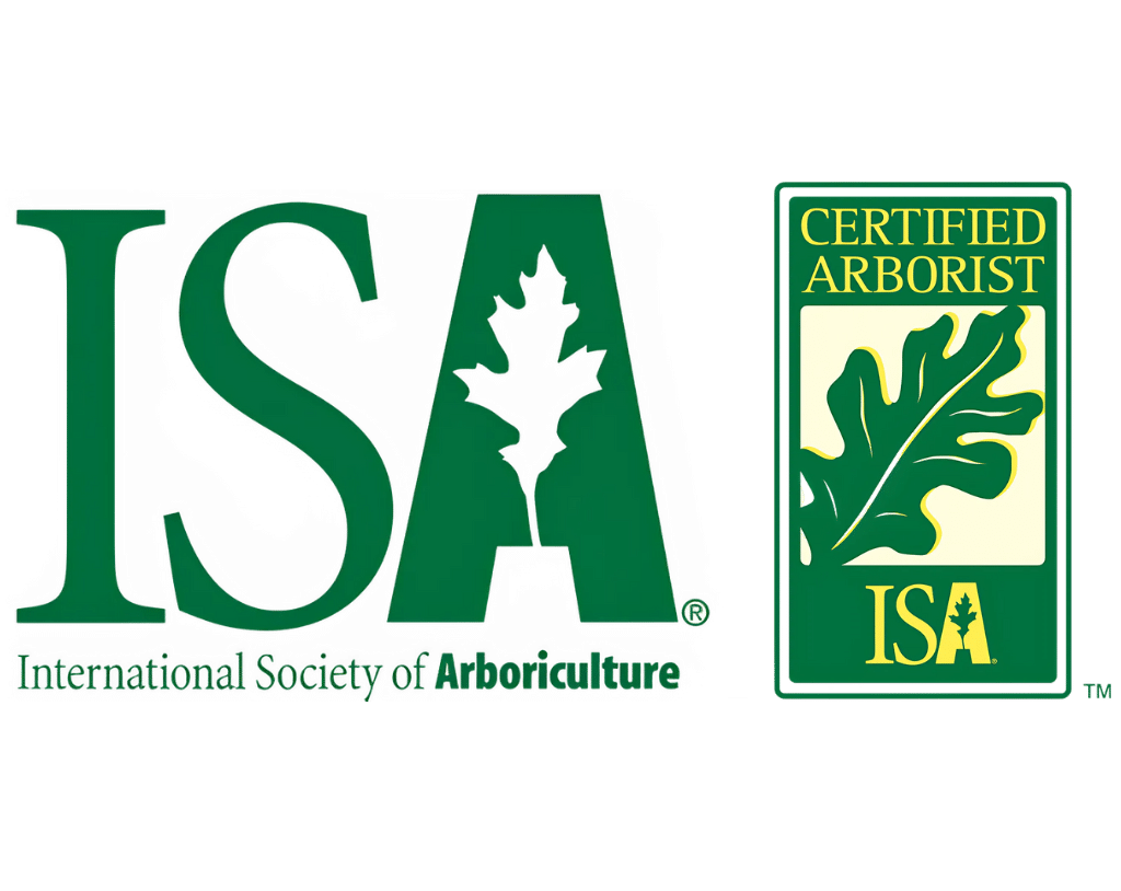 Certified Arborist Longtree Tree Service MI