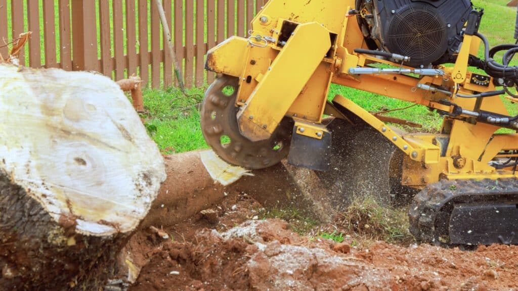 REMOVAL Stump Grinding Services in Michigan Longtree Tree Service Certified Experts