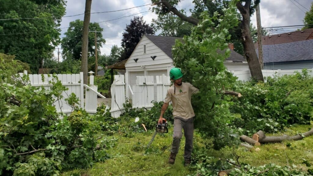 SAFE Emergency Tree Removal in Southfield Michigan Longtree Tree Service Certified Experts