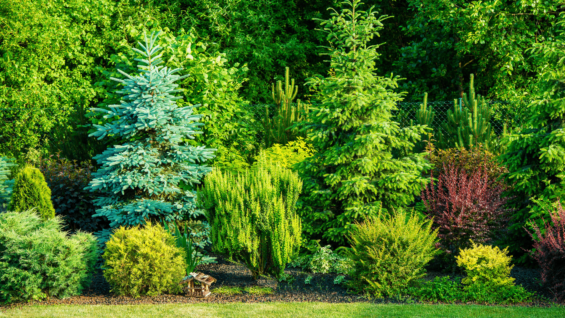 Southeast Michigan Tree Service Calculator Tree Installation