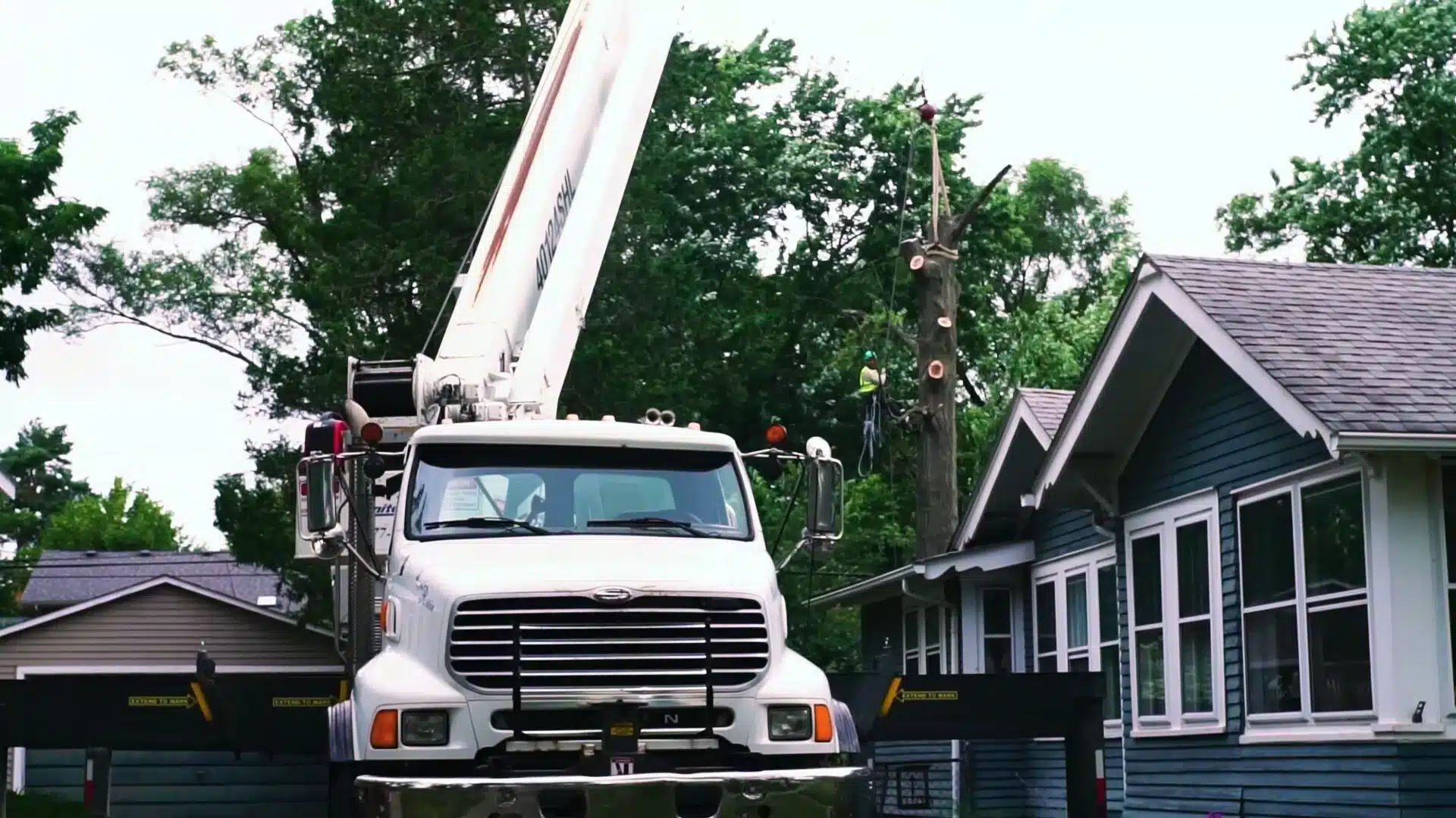 Southeast Michigan Tree Service Price Calculator Crane