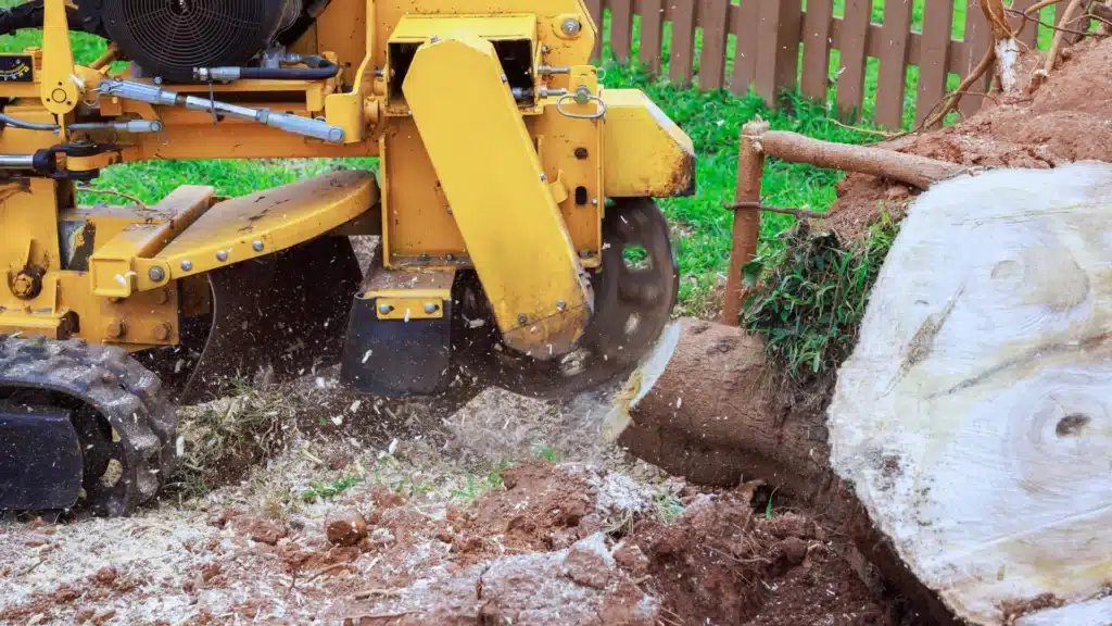 Stump Grinding Services in Michigan Longtree Tree Service Certified Experts