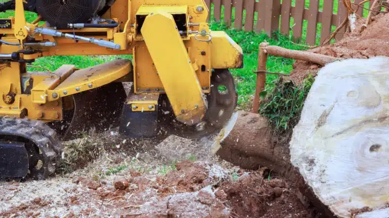Stump Grinding Services in Michigan Longtree Tree Service Certified Experts