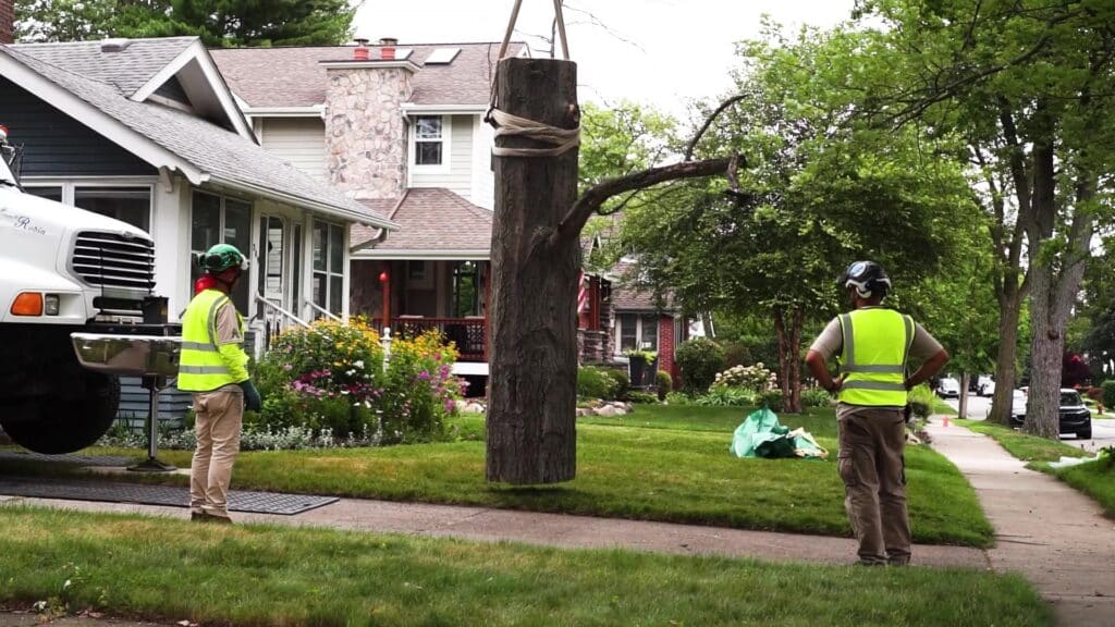 TOP Crane Assisted Tree Services in Southfield Michigan Longtree Tree Service Top Certified Experts