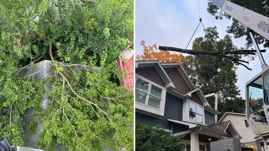 TRUSTED Emergency Tree Removal in Southfield Michigan Longtree Tree Service Certified Experts