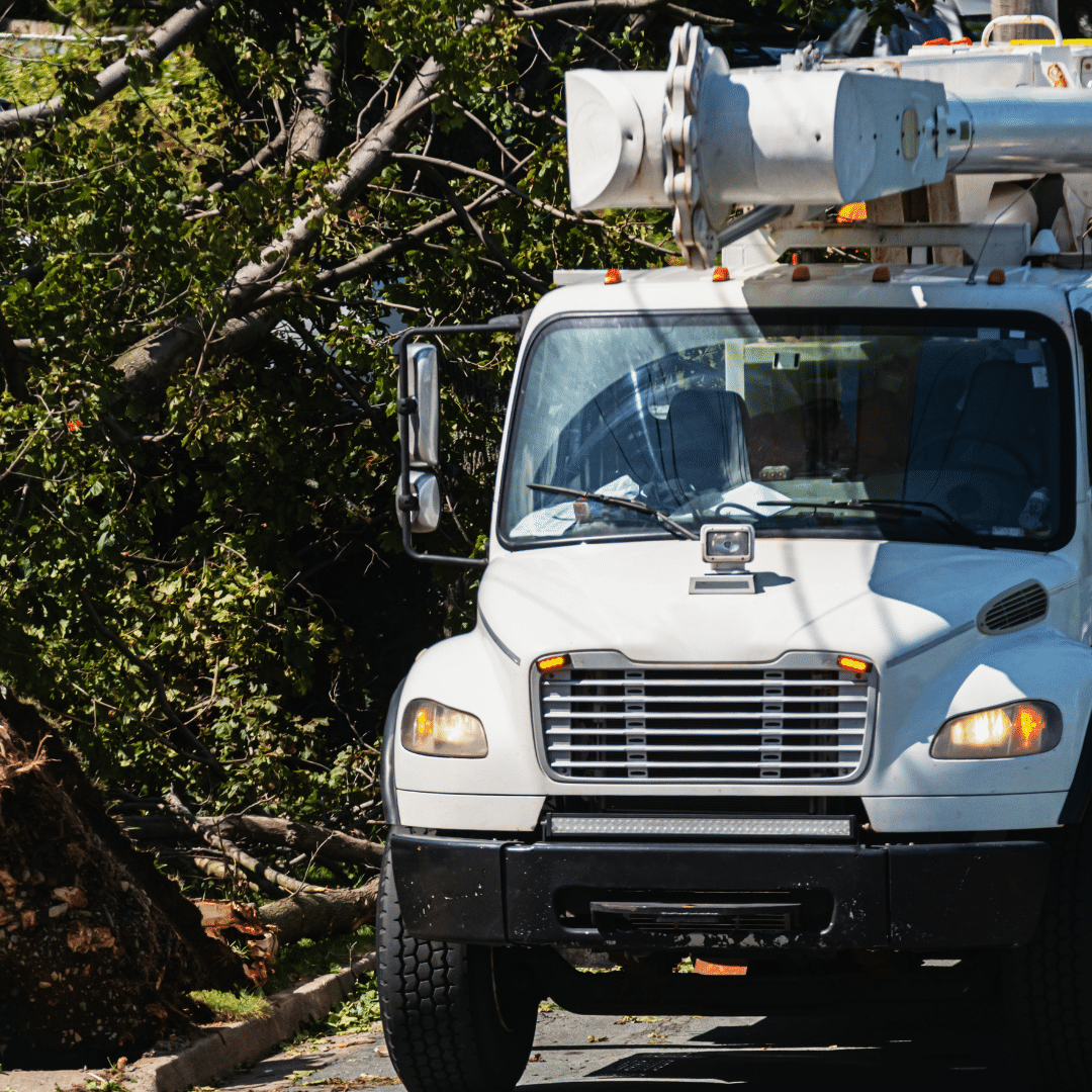 Service Call Tree Damage Longtree Tree Service MI