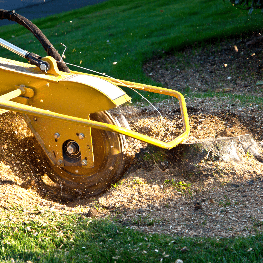 Stump Grinding Longtree Tree Service MI