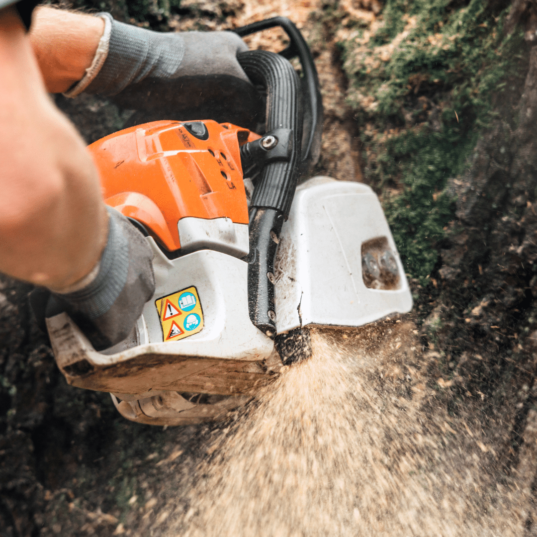 Tree Cutting Chainsaw Longtree Tree Service MI