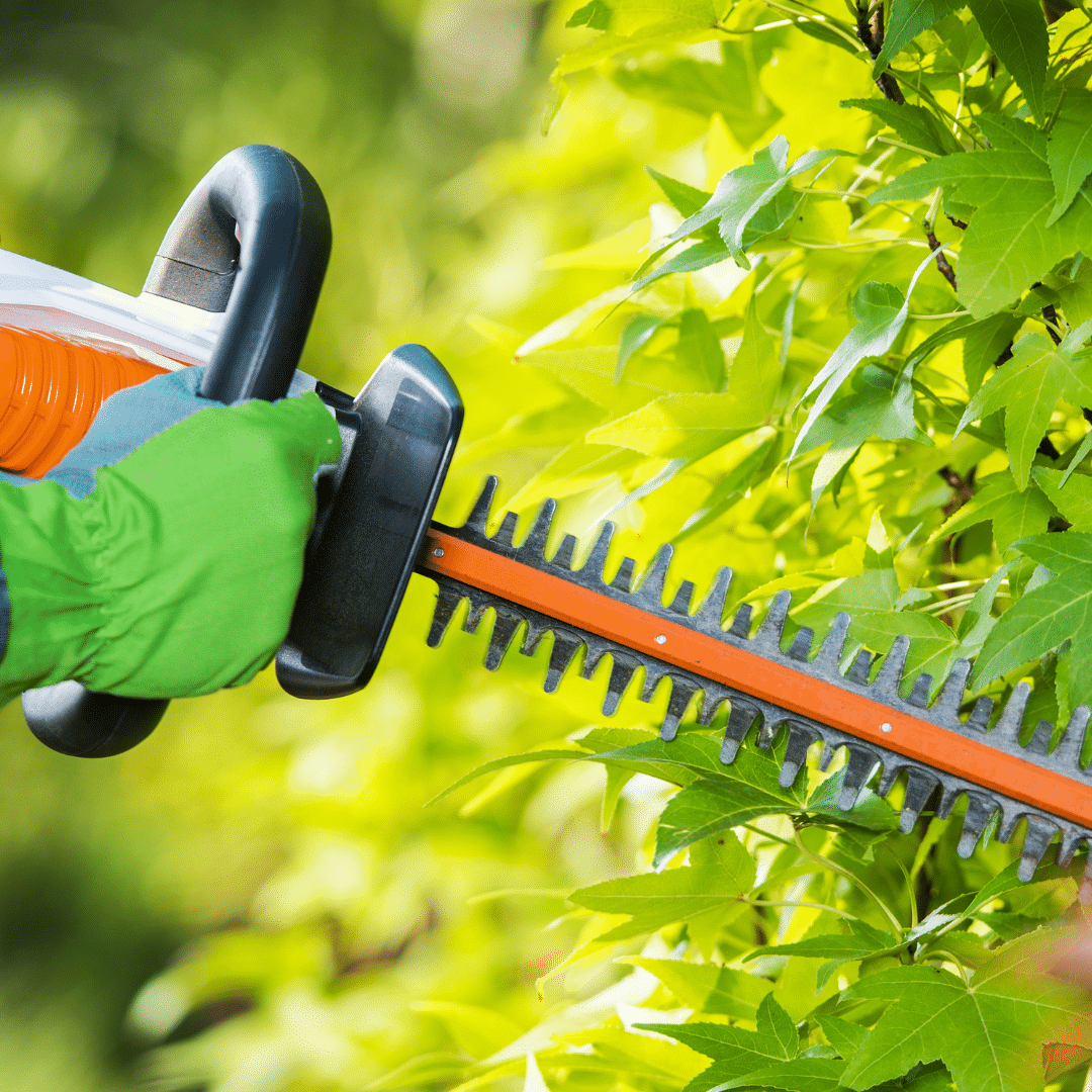 Tree Maintenance Longtree Tree Service MI